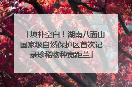 填补空白！湖南八面山国家级自然保护区首次记录珍稀物种宽距兰
