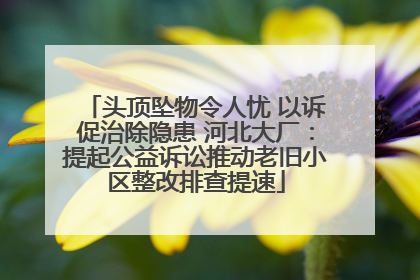 头顶坠物令人忧 以诉促治除隐患 河北大厂：提起公益诉讼推动老旧小区整改排查提速