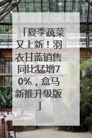 夏季蔬菜又上新！羽衣甘蓝销售同比猛增70%，盒马新推升级版