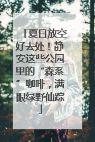 夏日放空好去处！静安这些公园里的“森系”咖啡，满眼绿野仙踪