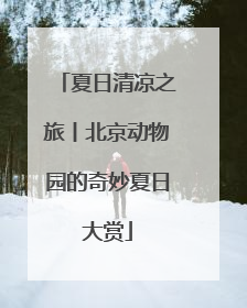 夏日清凉之旅丨北京动物园的奇妙夏日大赏
