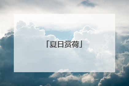夏日赏荷