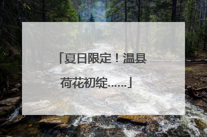 夏日限定！温县荷花初绽……