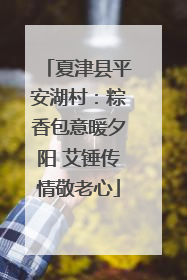夏津县平安湖村：粽香包意暖夕阳 艾锤传情敬老心