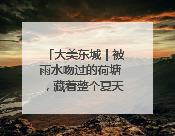 大美东城｜被雨水吻过的荷塘，藏着整个夏天的温柔