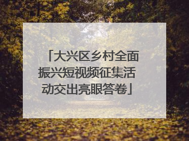 大兴区乡村全面振兴短视频征集活动交出亮眼答卷