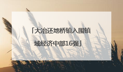 大冶还地桥镇入围镇域经济中部16强