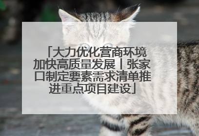 大力优化营商环境 加快高质量发展丨张家口制定要素需求清单推进重点项目建设