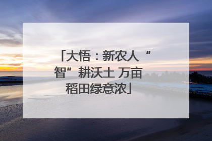 大悟：新农人“智”耕沃土 万亩稻田绿意浓