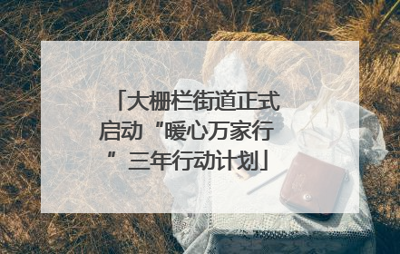 大栅栏街道正式启动“暖心万家行”三年行动计划