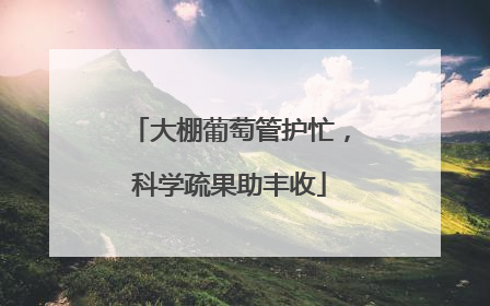 大棚葡萄管护忙，科学疏果助丰收