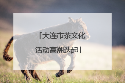 大连市茶文化活动高潮迭起