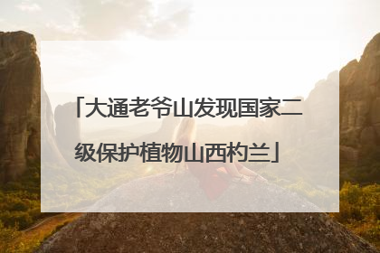 大通老爷山发现国家二级保护植物山西杓兰