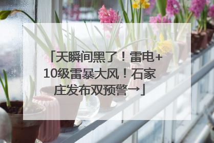 天瞬间黑了！雷电+10级雷暴大风！石家庄发布双预警→