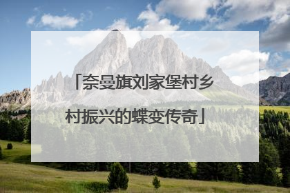 奈曼旗刘家堡村乡村振兴的蝶变传奇