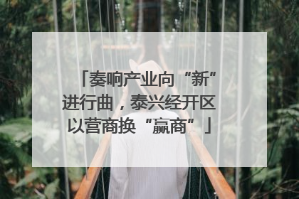 奏响产业向“新”进行曲，泰兴经开区以营商换“赢商”