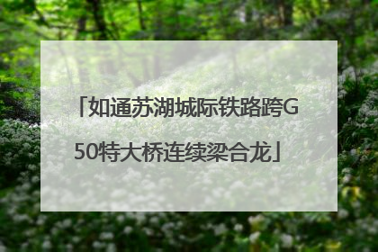 如通苏湖城际铁路跨G50特大桥连续梁合龙