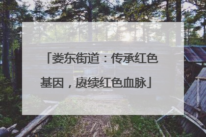 娄东街道：传承红色基因，赓续红色血脉