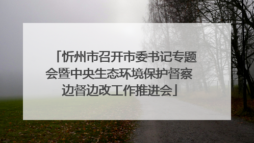 忻州市召开市委书记专题会暨中央生态环境保护督察边督边改工作推进会