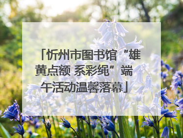忻州市图书馆“雄黄点额 系彩绳”端午活动温馨落幕