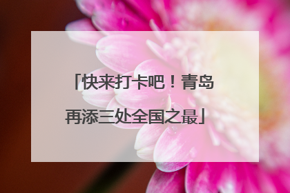 快来打卡吧！青岛再添三处全国之最