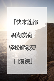 快来莲都碧湖赏荷 轻松解锁夏日浪漫