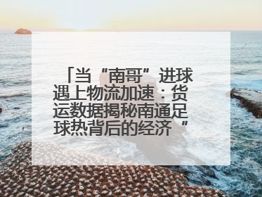 当“南哥”进球遇上物流加速：货运数据揭秘南通足球热背后的经济“射门”