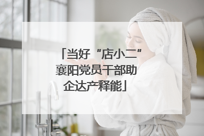 当好“店小二” 襄阳党员干部助企达产释能
