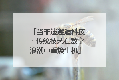 当非遗邂逅科技：传统技艺在数字浪潮中重焕生机