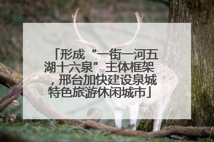 形成“一街一河五湖十六泉”主体框架，邢台加快建设泉城特色旅游休闲城市