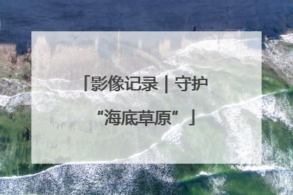 影像记录｜守护“海底草原”