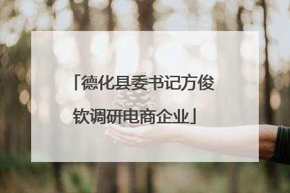 德化县委书记方俊钦调研电商企业