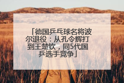 德国乒乓球名将波尔退役：从孔令辉打到王楚钦，同5代国乒选手竞争