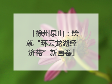 徐州泉山：绘就“环云龙湖经济带”新画卷