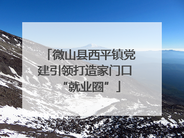 微山县西平镇党建引领打造家门口“就业圈”