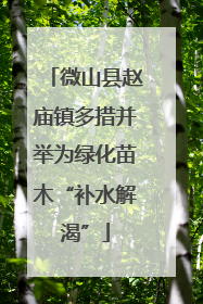 微山县赵庙镇多措并举为绿化苗木“补水解渴”
