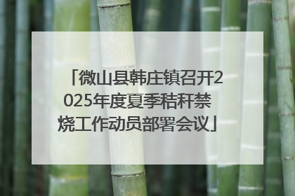 微山县韩庄镇召开2025年度夏季秸秆禁烧工作动员部署会议