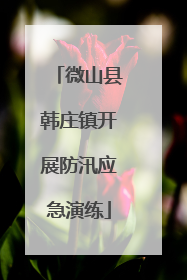 微山县韩庄镇开展防汛应急演练