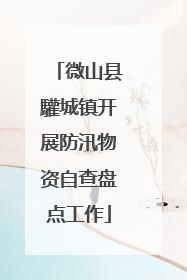 微山县驩城镇开展防汛物资自查盘点工作