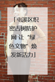 屯溪区织密古树防护网 让“绿色文物”焕发新活力