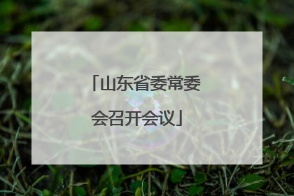 山东省委常委会召开会议