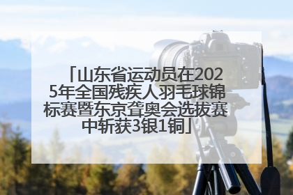 山东省运动员在2025年全国残疾人羽毛球锦标赛暨东京聋奥会选拔赛中斩获3银1铜