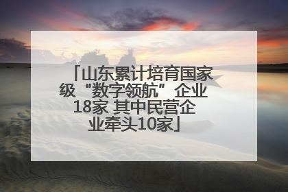山东累计培育国家级“数字领航”企业18家 其中民营企业牵头10家