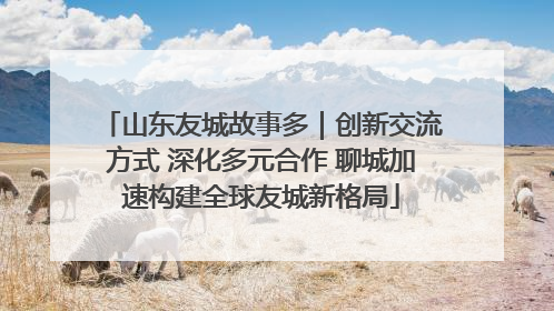 山东友城故事多｜创新交流方式 深化多元合作 聊城加速构建全球友城新格局