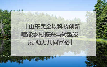 山东民企以科技创新赋能乡村振兴与转型发展 助力共同富裕