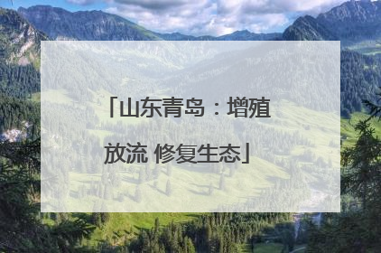 山东青岛：增殖放流 修复生态