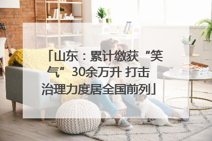 山东：累计缴获“笑气”30余万升 打击治理力度居全国前列