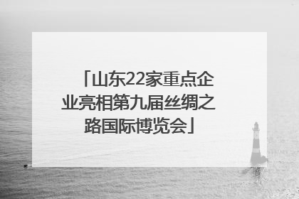 山东22家重点企业亮相第九届丝绸之路国际博览会