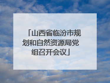 山西省临汾市规划和自然资源局党组召开会议