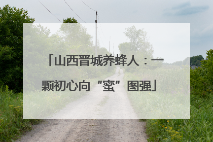 山西晋城养蜂人：一颗初心向“蜜”图强